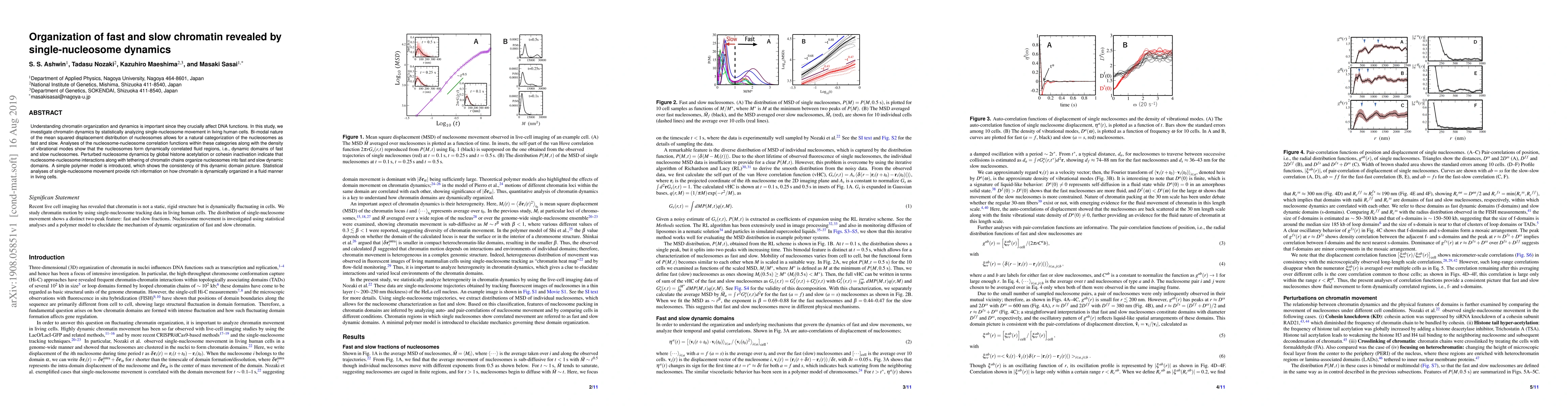 Thumbnail for Organization of fast and slow chromatin revealed by single-nucleosome
  dynamics