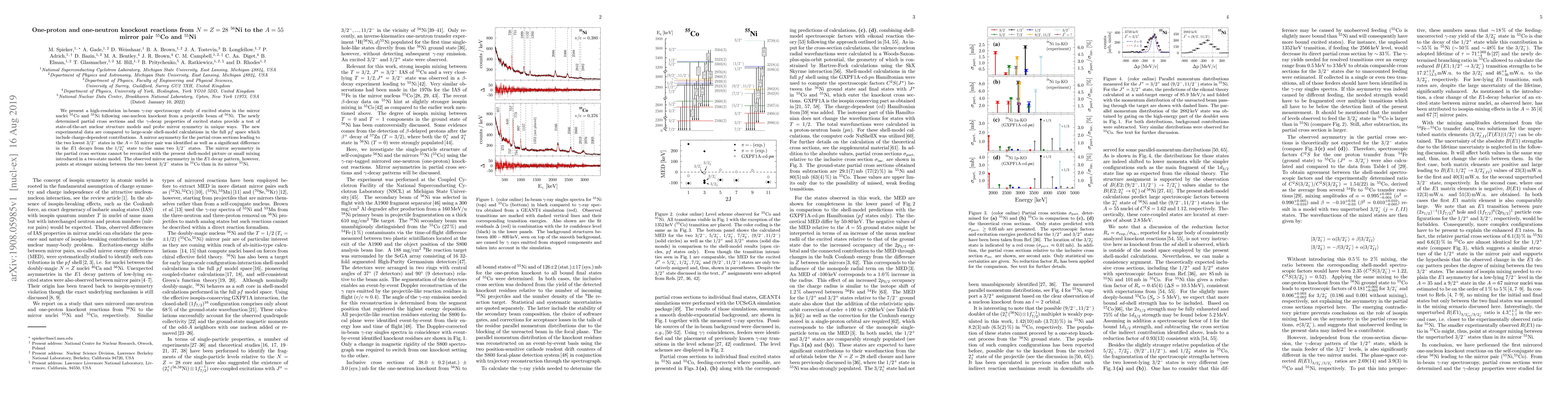 Thumbnail for One-proton and one-neutron knockout reactions from $N = Z = 28$
  $^{56}$Ni to the $A = 55$ mirror pair $^{55}$Co and $^{55}$Ni