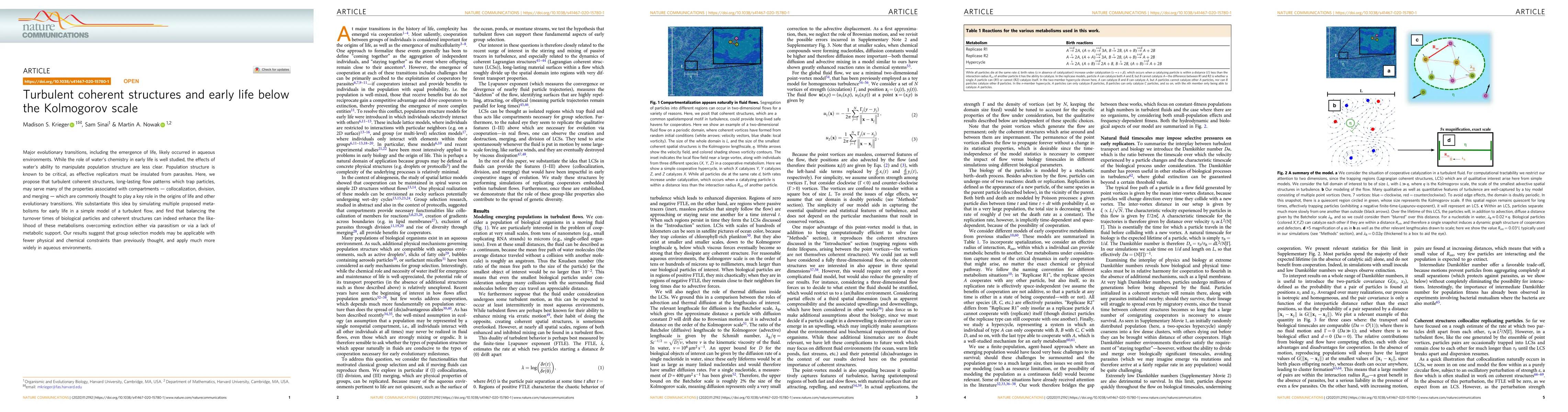 Thumbnail for Turbulent coherent structures and early life below the Kolmogorov scale
