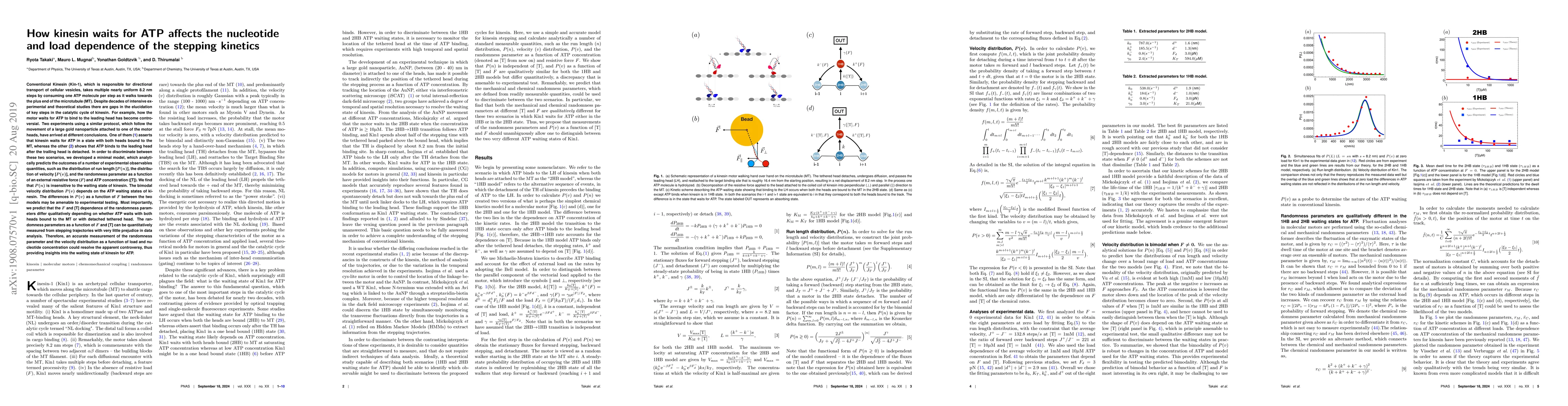 Thumbnail for How kinesin waits for ATP affects the nucleotide and load dependence of
  the stepping kinetics