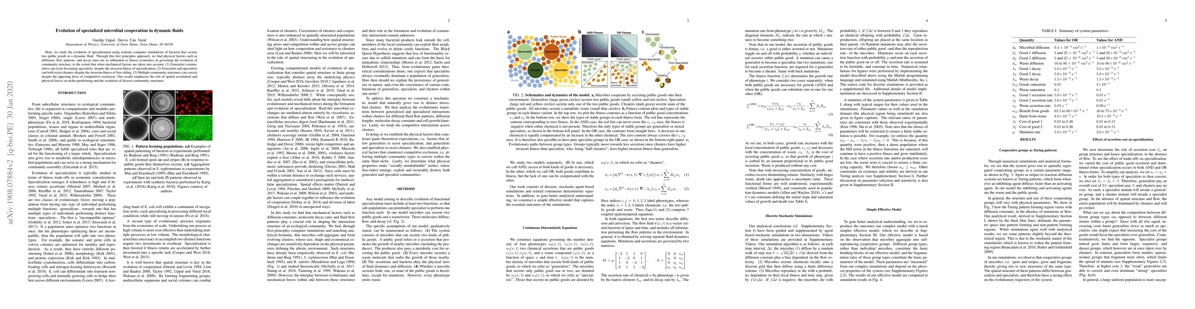 Thumbnail for Evolution of specialized microbial cooperation in dynamic fluids