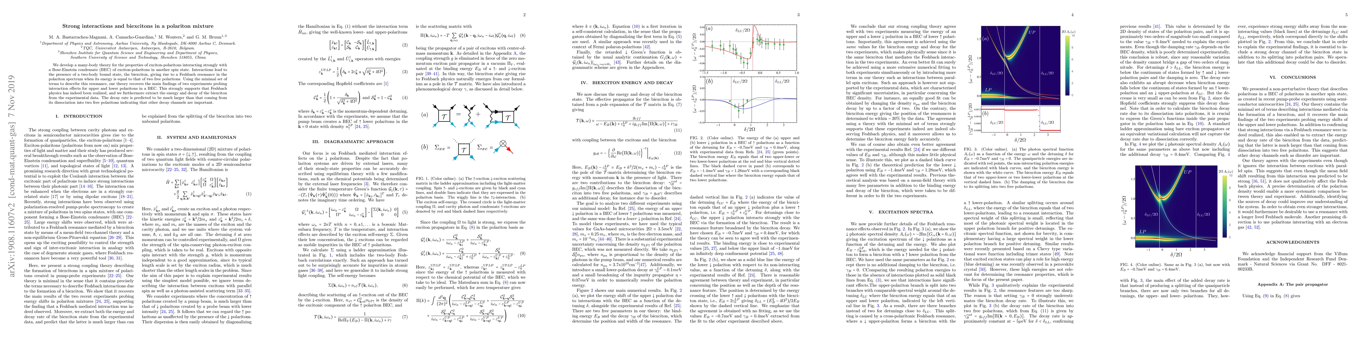 Thumbnail for Strong interactions and bi-excitons in a polariton mixture
