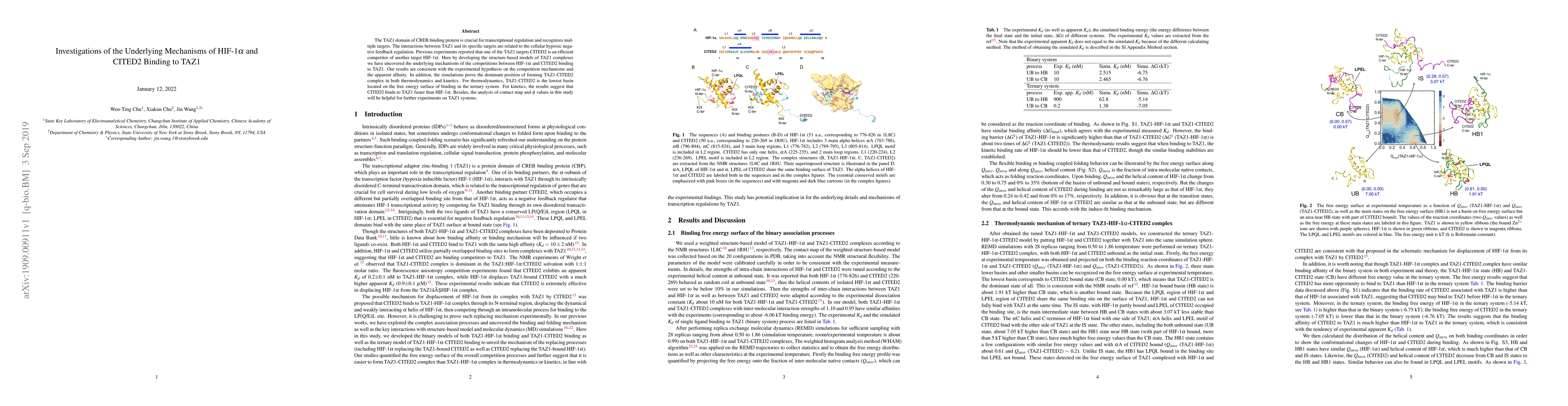 Thumbnail for Investigations of the Underlying Mechanisms of HIF-1{\alpha} and CITED2
  Binding to TAZ1