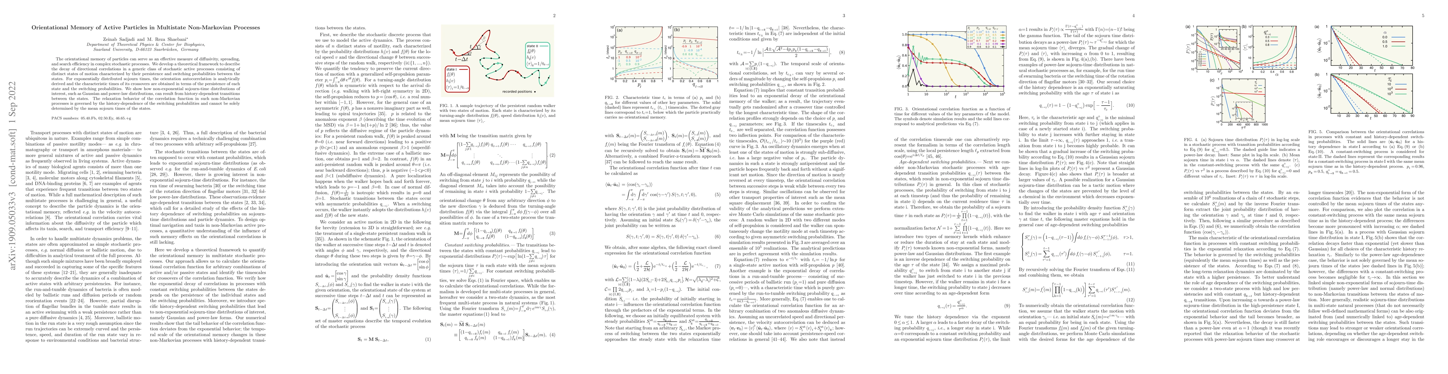 Thumbnail for Orientational Memory of Active Particles in Multistate Non-Markovian
  Processes