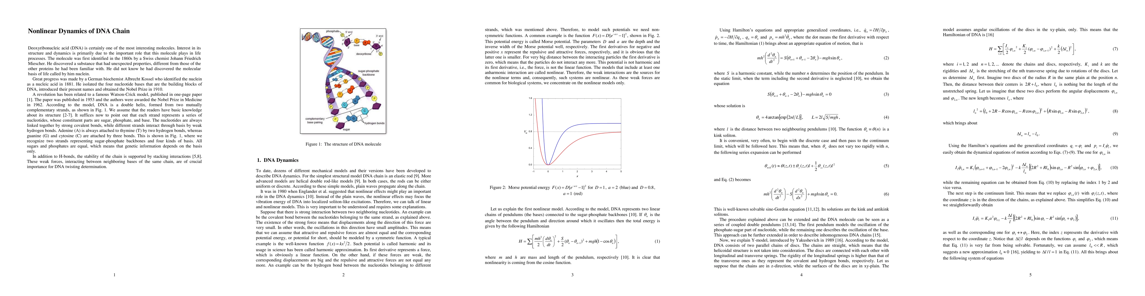 Thumbnail for Nonlinear Dynamics of DNA Chain
