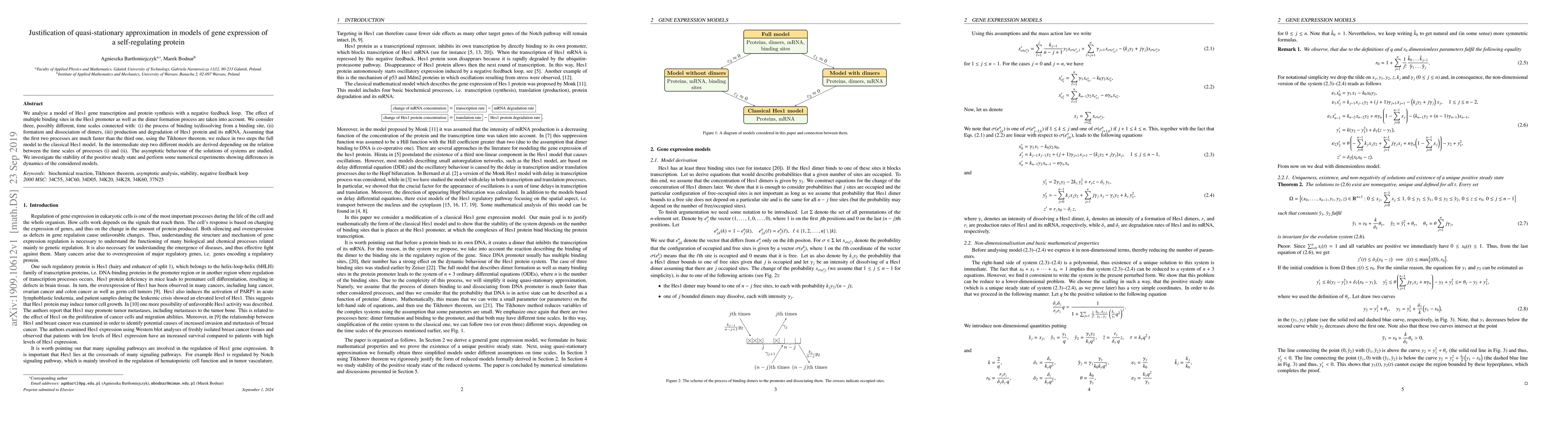 Thumbnail for Justification of quasi-stationary approximation in models of gene
  expression of a self-regulating protein