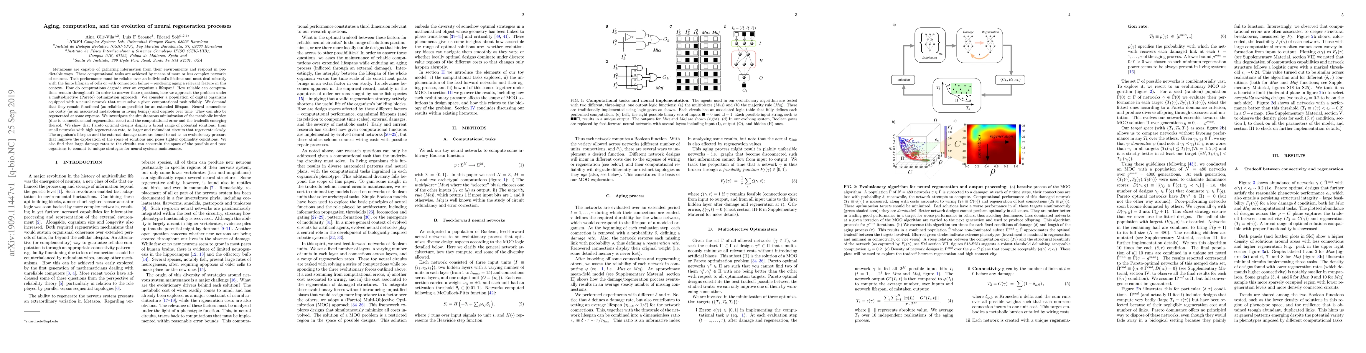 Thumbnail for Aging, computation, and the evolution of neural regeneration processes