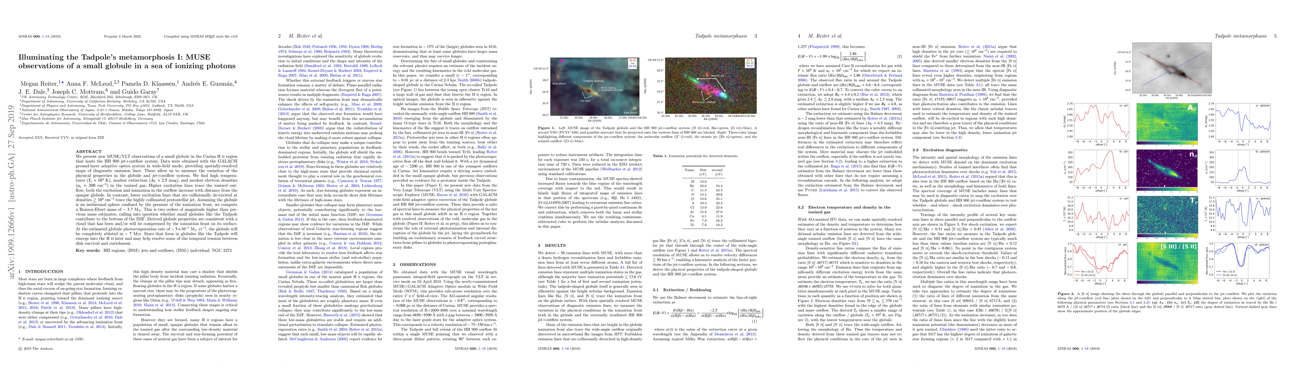 Thumbnail for Illuminating the Tadpole's metamorphosis I: MUSE observations of a small
  globule in a sea of ionizing photons