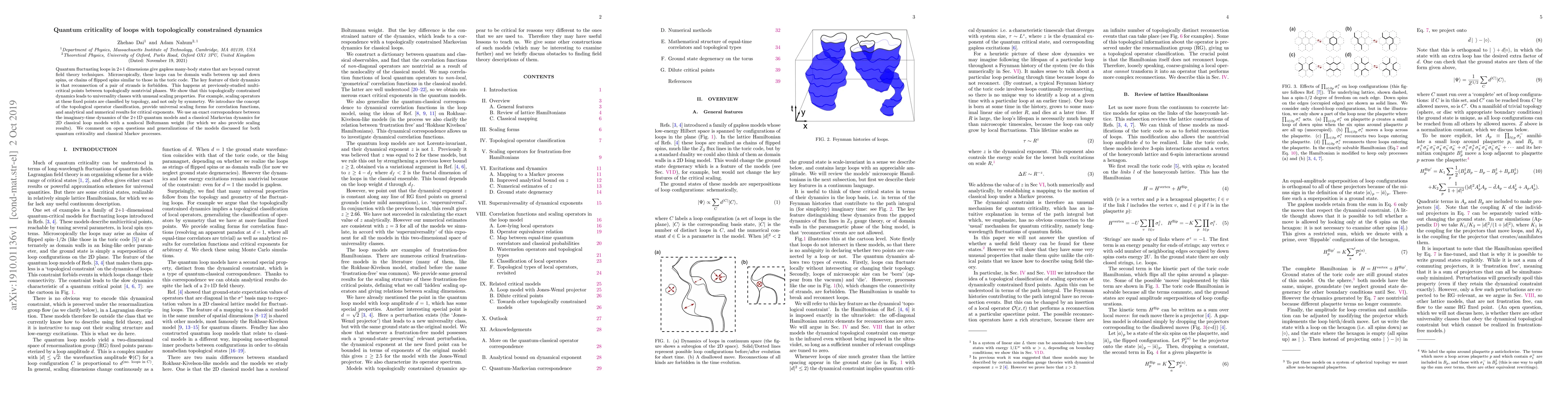 Thumbnail for Quantum criticality of loops with topologically constrained dynamics