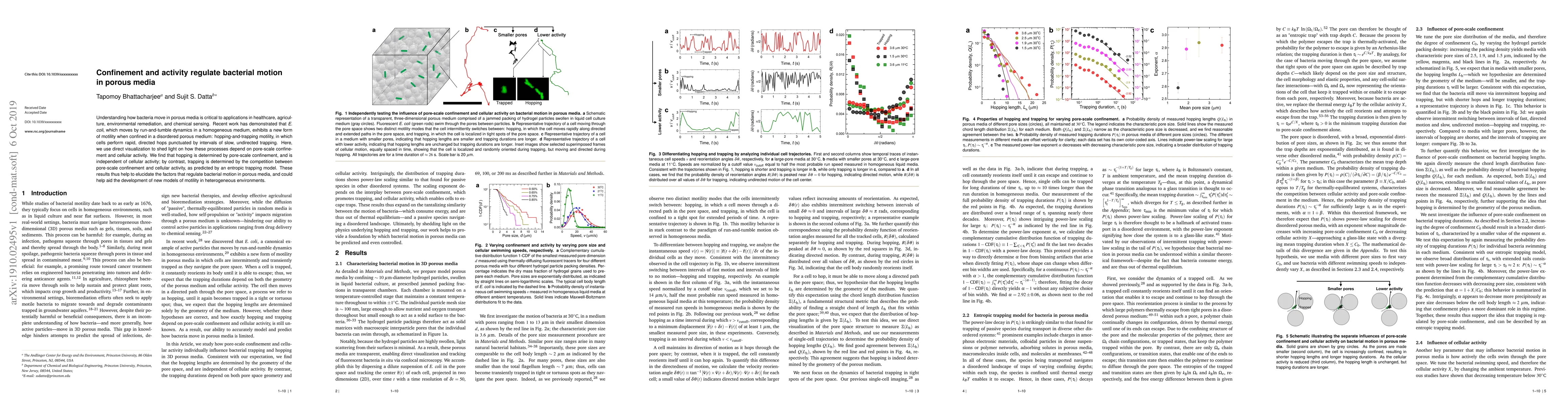 Thumbnail for Confinement and activity regulate bacterial motion in porous media