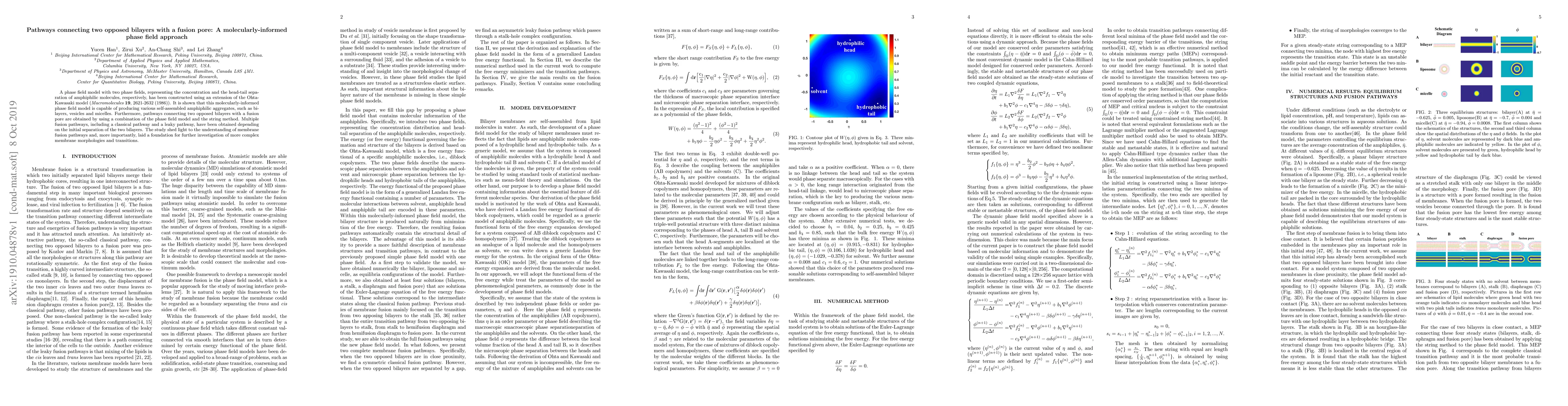 Thumbnail for Pathways connecting two opposed bilayers with a fusion pore: A
  molecularly-informed phase field approach
