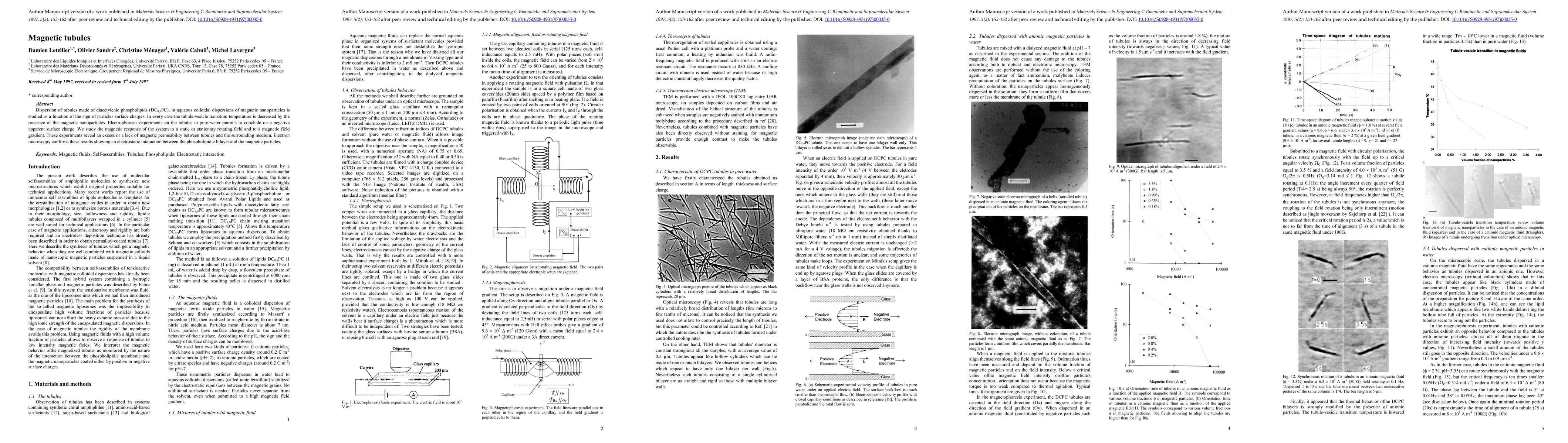 Thumbnail for Magnetic tubules
