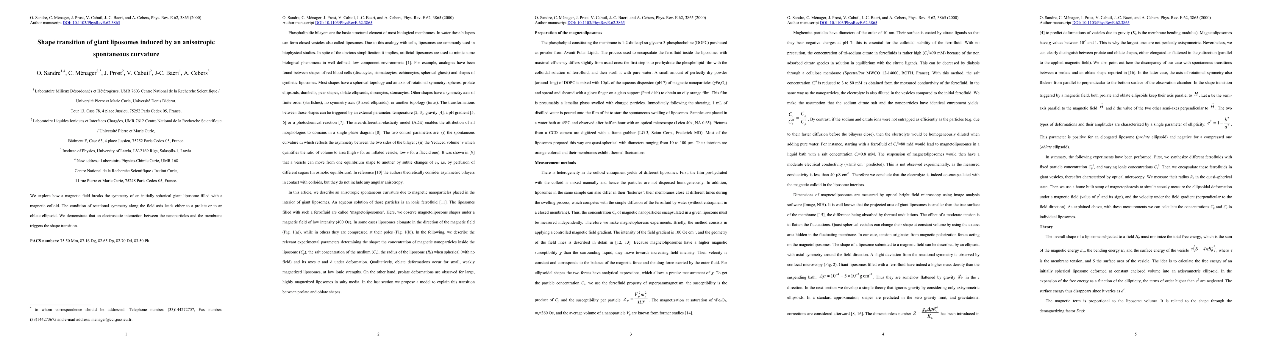 Thumbnail for Shape transitions of giant liposomes induced by an anisotropic
  spontaneous curvature