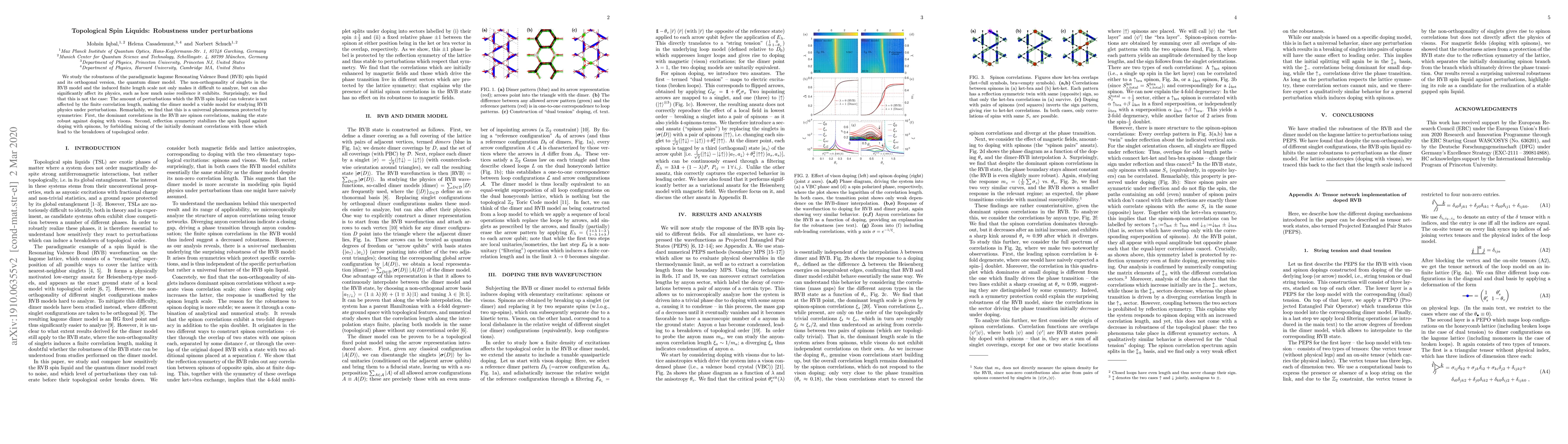 Thumbnail for Topological Spin Liquids: Robustness under perturbations