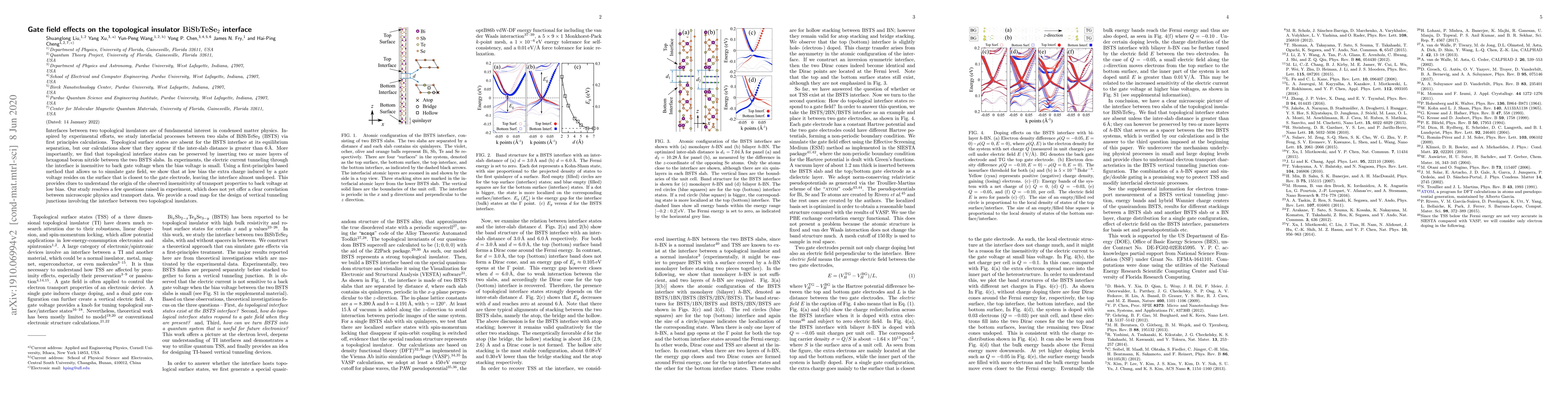 Thumbnail for Gate field effects on the topological insulator BiSbTeSe2 interface