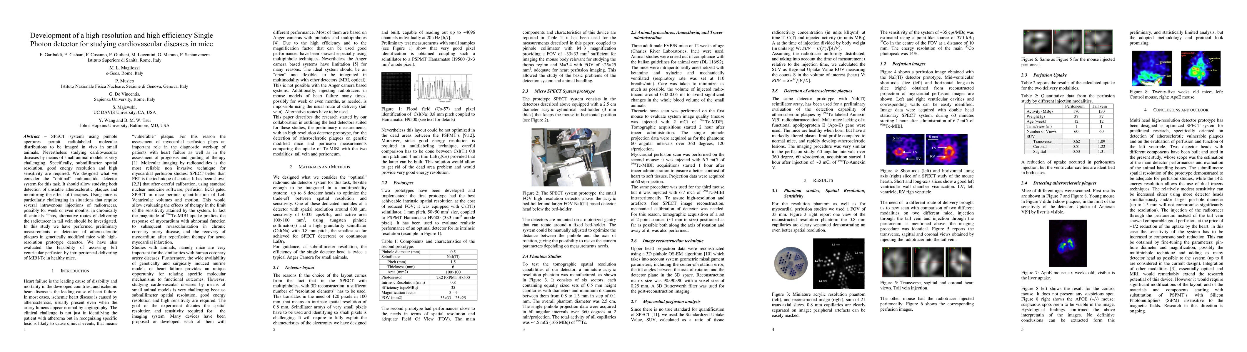 Thumbnail for Development of a high-resolution and high efficiency Single Photon
  detector for studying cardiovascular diseases in mice