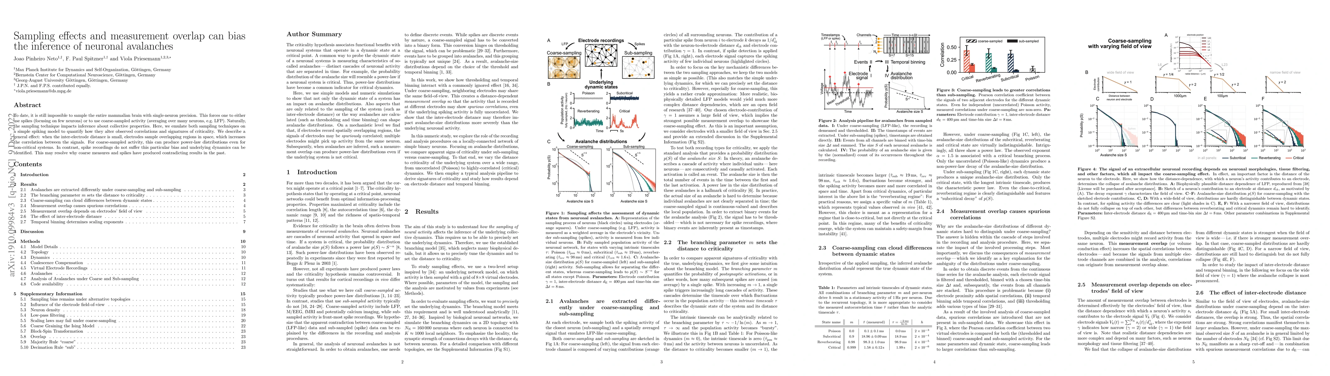 Thumbnail for Sampling effects and measurement overlap can bias the inference of
  neuronal avalanches