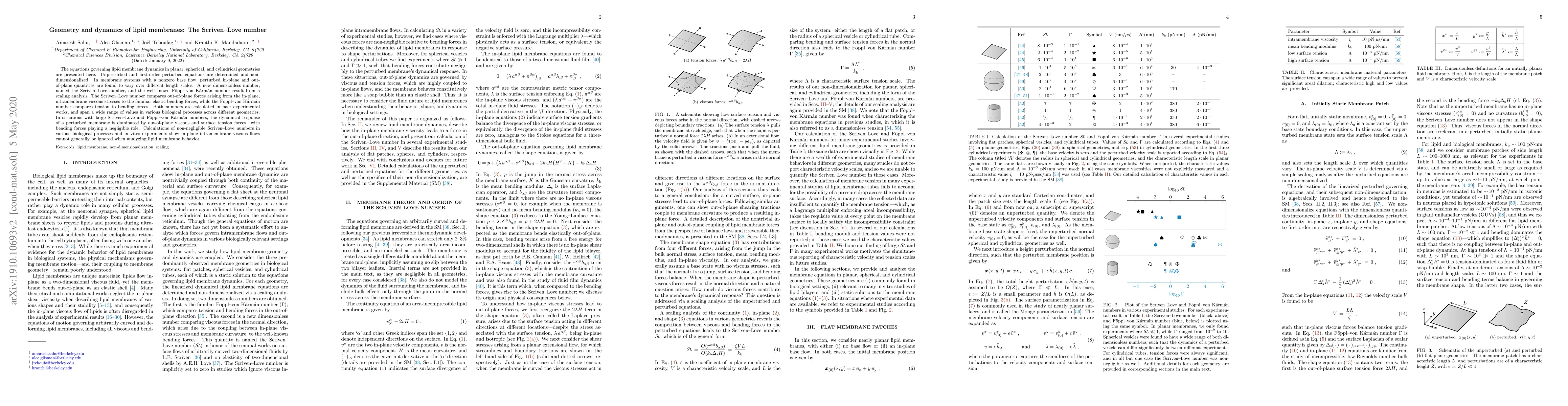 Thumbnail for Geometry and dynamics of lipid membranes: The Scriven--Love number