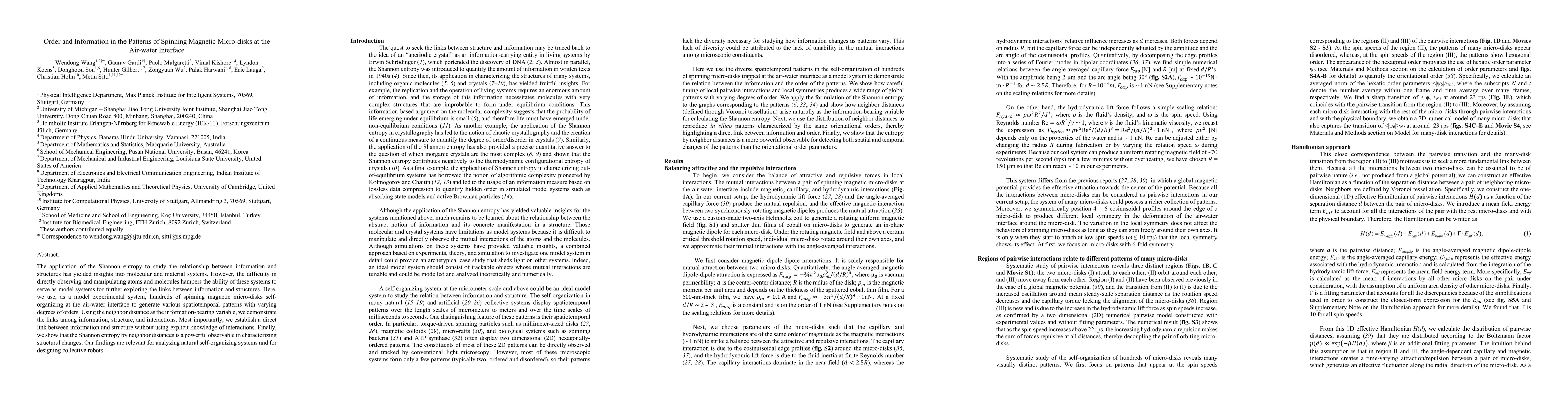 Thumbnail for Order and Information in the Patterns of Spinning Magnetic Micro-disks
  at the Air-water Interface