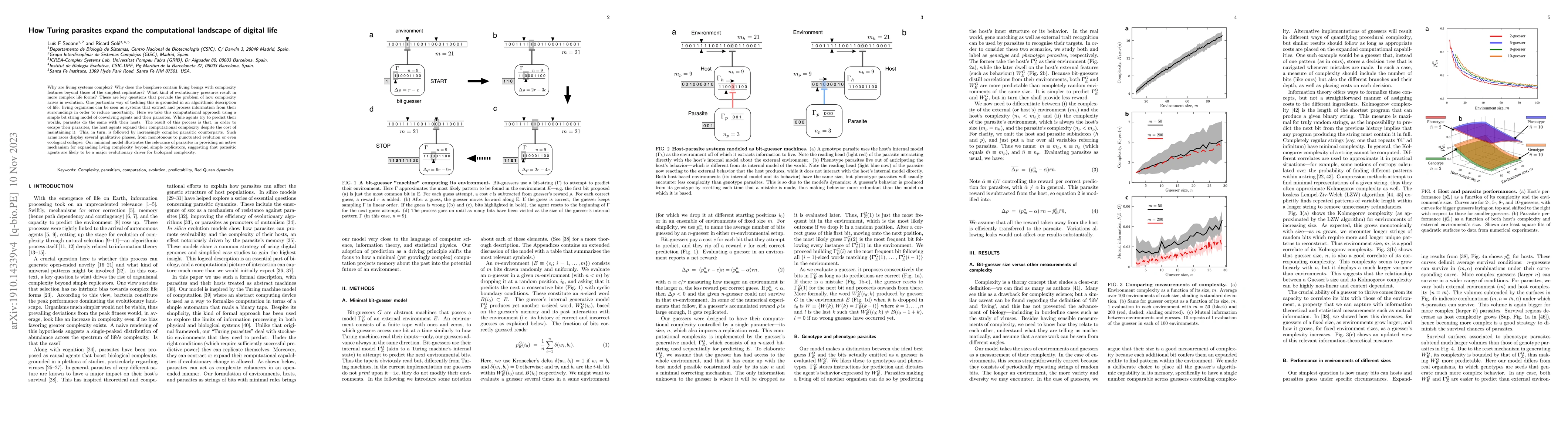 Thumbnail for How Turing parasites expand the computational landscape of digital life