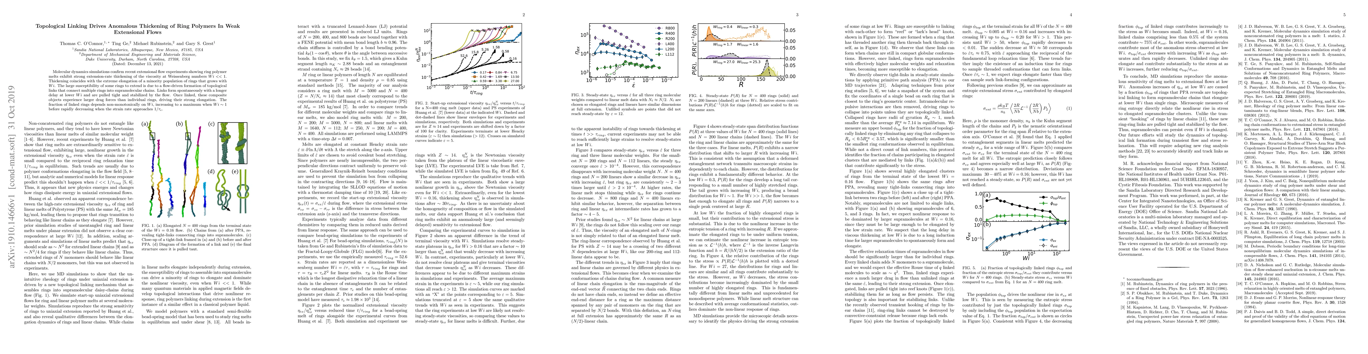 Thumbnail for Topological Linking Drives Anomalous Thickening of Ring Polymers In Weak
  Extensional Flows