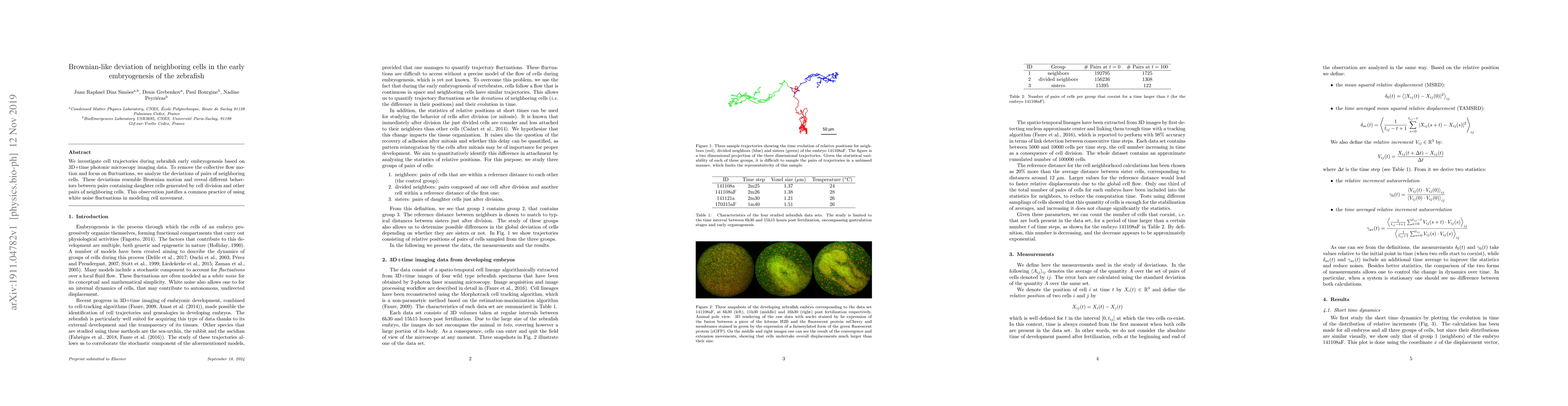 Thumbnail for Brownian-like deviation of neighboring cells in the early embryogenesis
  of the zebrafish