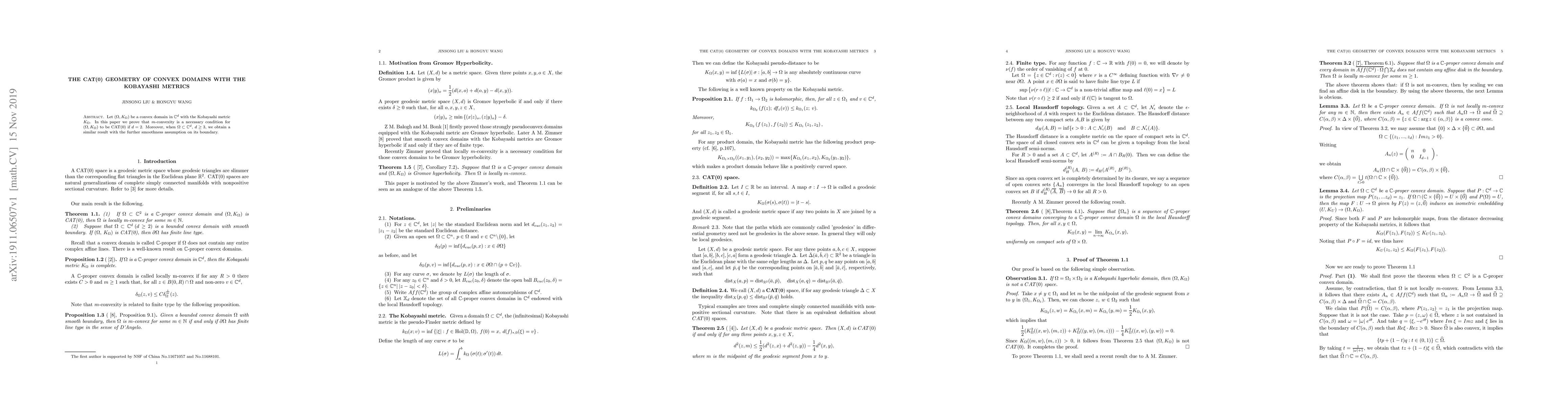 Thumbnail for The CAT(0) geometry of convex domains with the Kobayashi metrics
