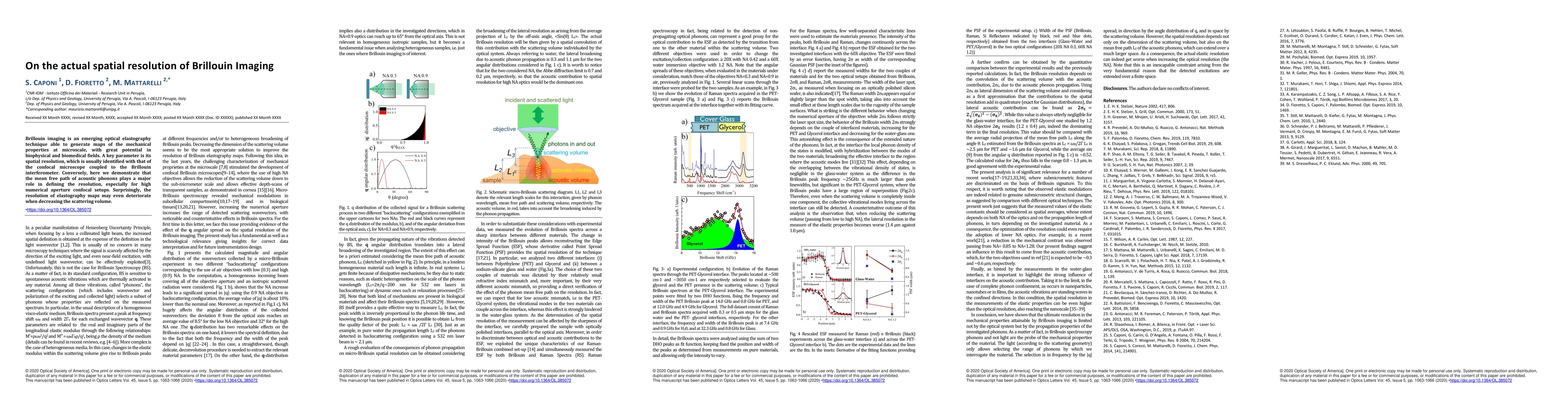 Thumbnail for On the actual spatial resolution of Brillouin Imaging