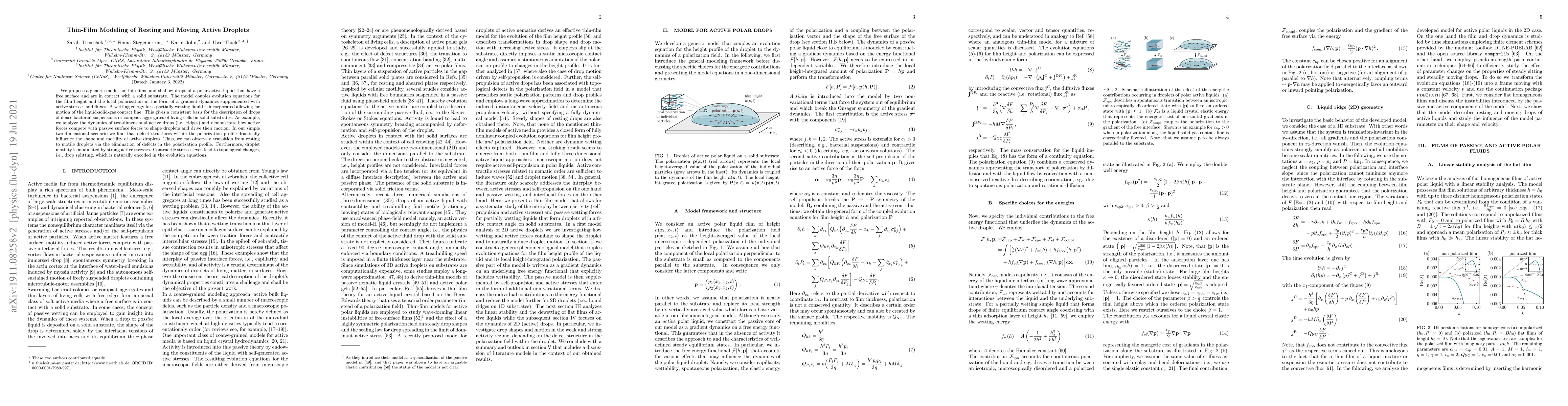 Thumbnail for Thin-Film Modelling of Resting and Moving Active Droplets