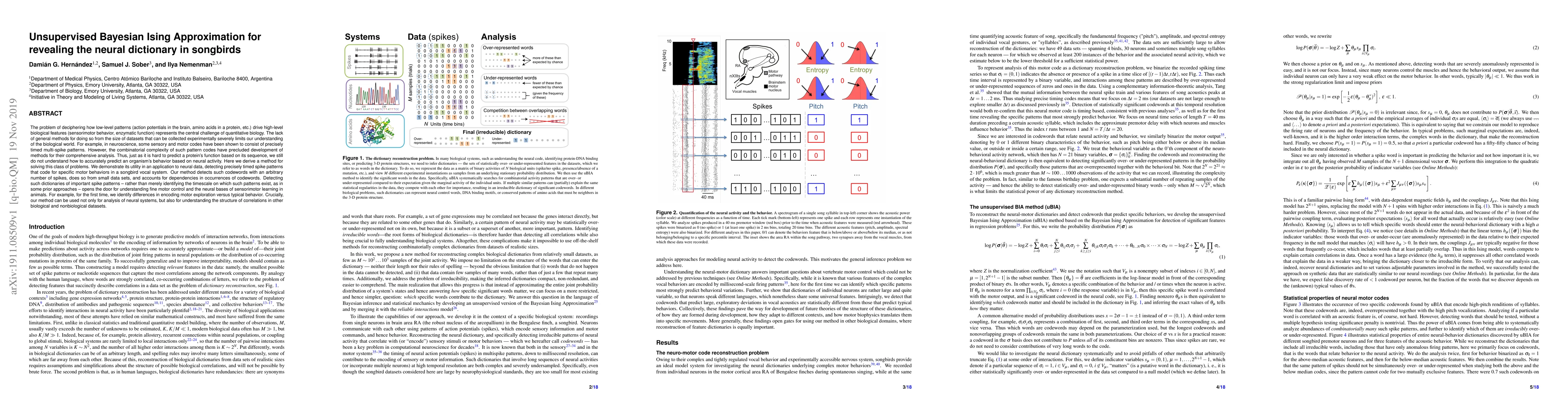 Thumbnail for Unsupervised Bayesian Ising Approximation for revealing the neural
  dictionary in songbirds