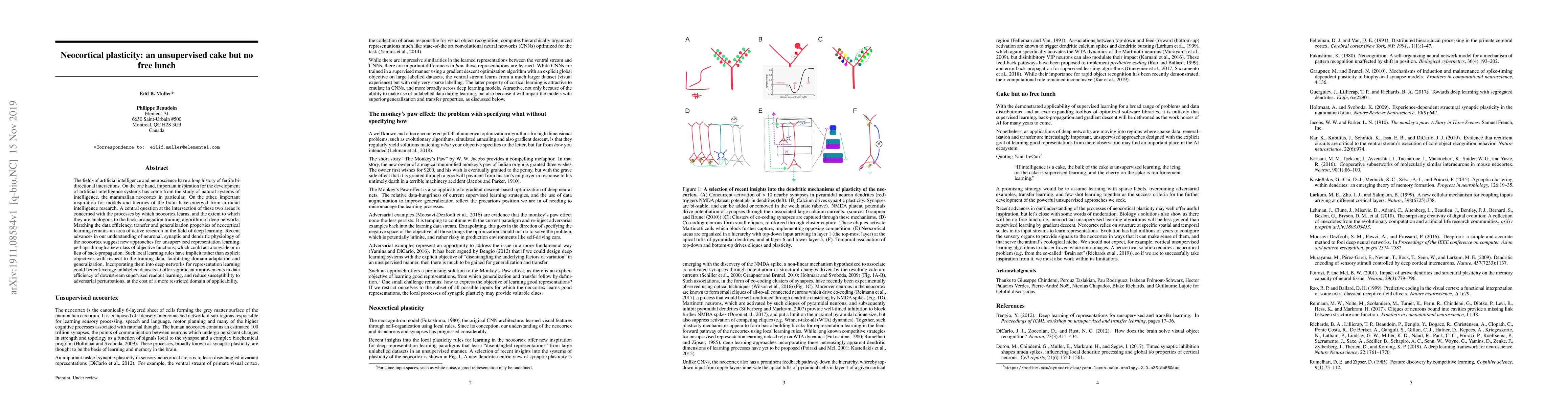 Thumbnail for Neocortical plasticity: an unsupervised cake but no free lunch