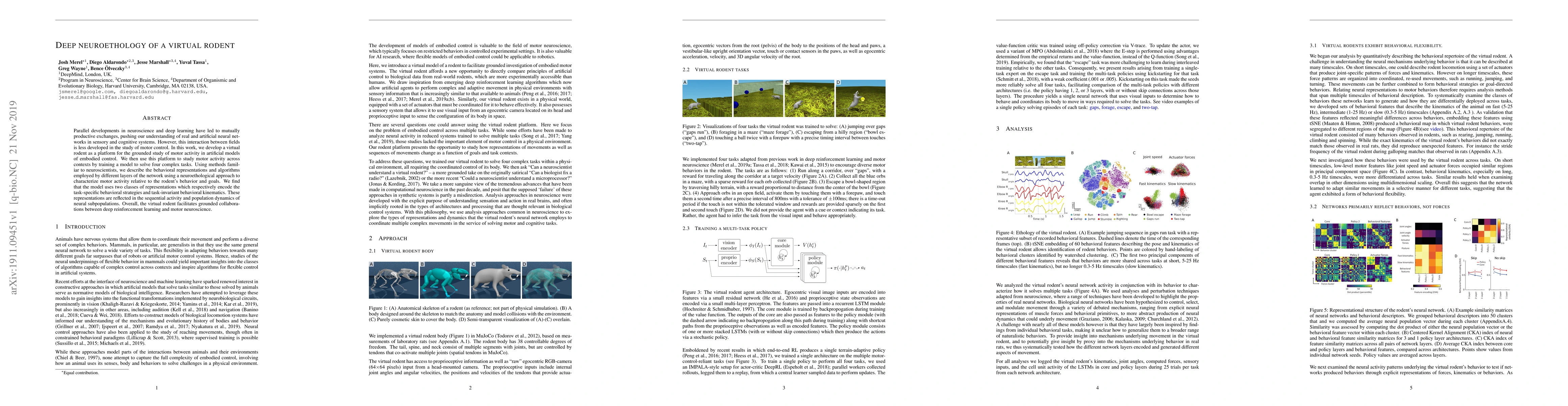 Thumbnail for Deep neuroethology of a virtual rodent