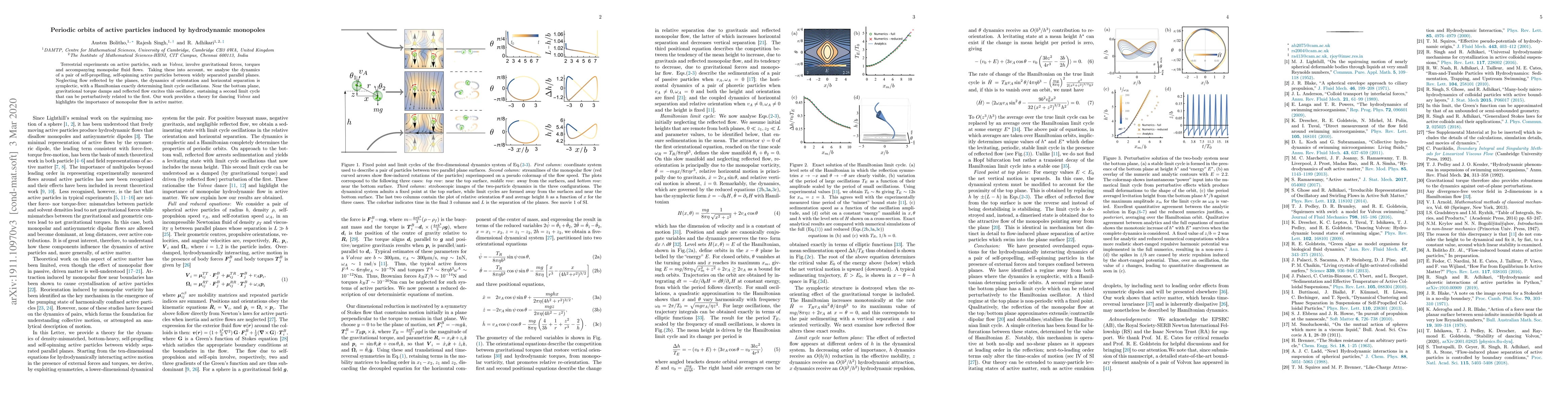 Thumbnail for Periodic Orbits of Active Particles induced by Hydrodynamic Monopoles
