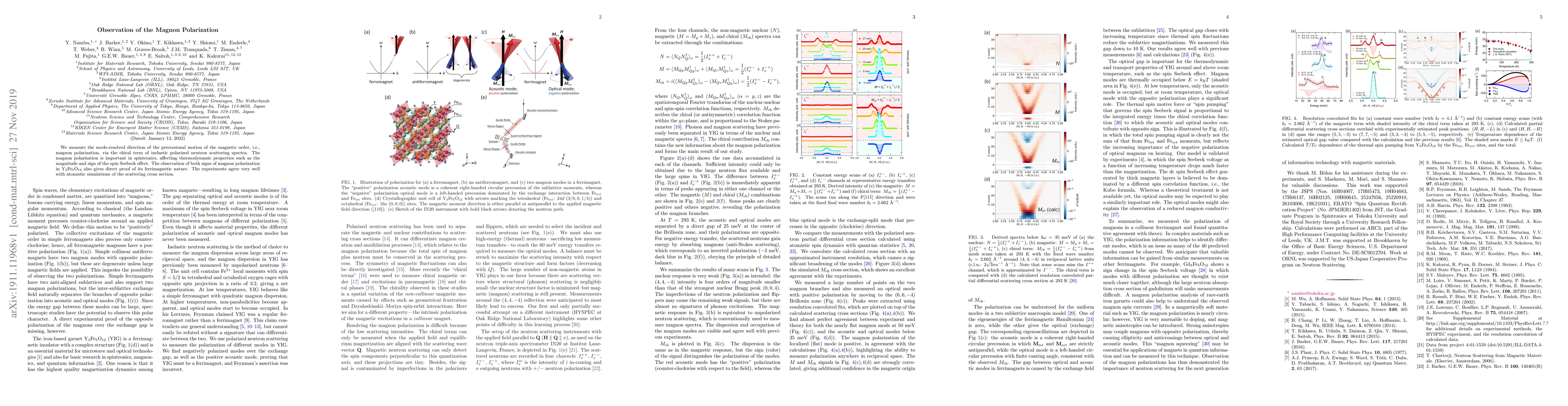 Thumbnail for Observation of the Magnon Polarization