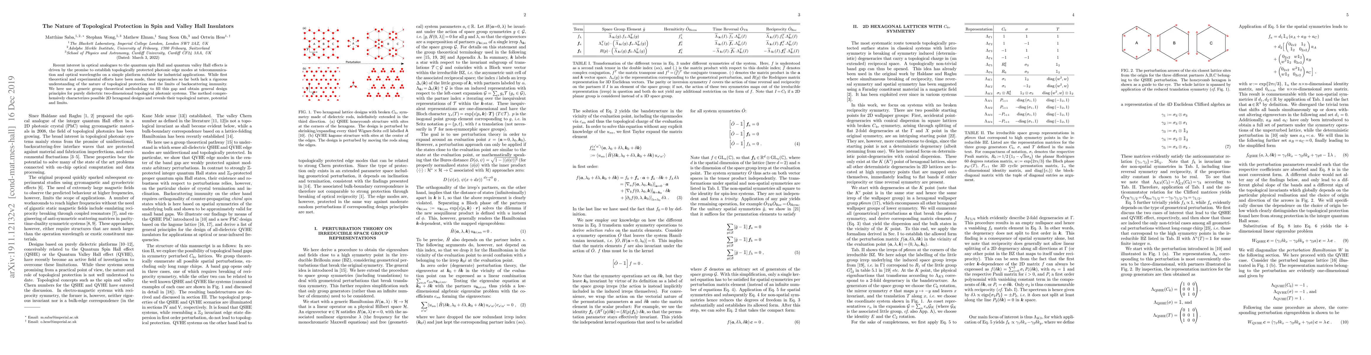 Thumbnail for The Nature of Topological Protection in Spin and Valley Hall Insulators