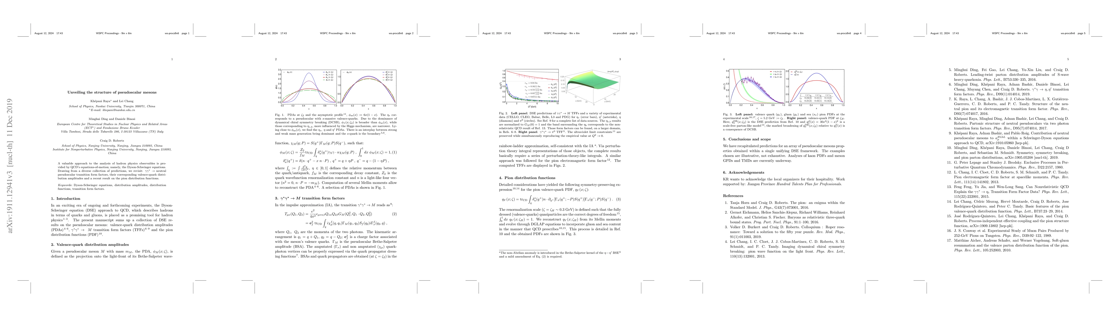Thumbnail for Unveiling the structure of pseudoscalar mesons