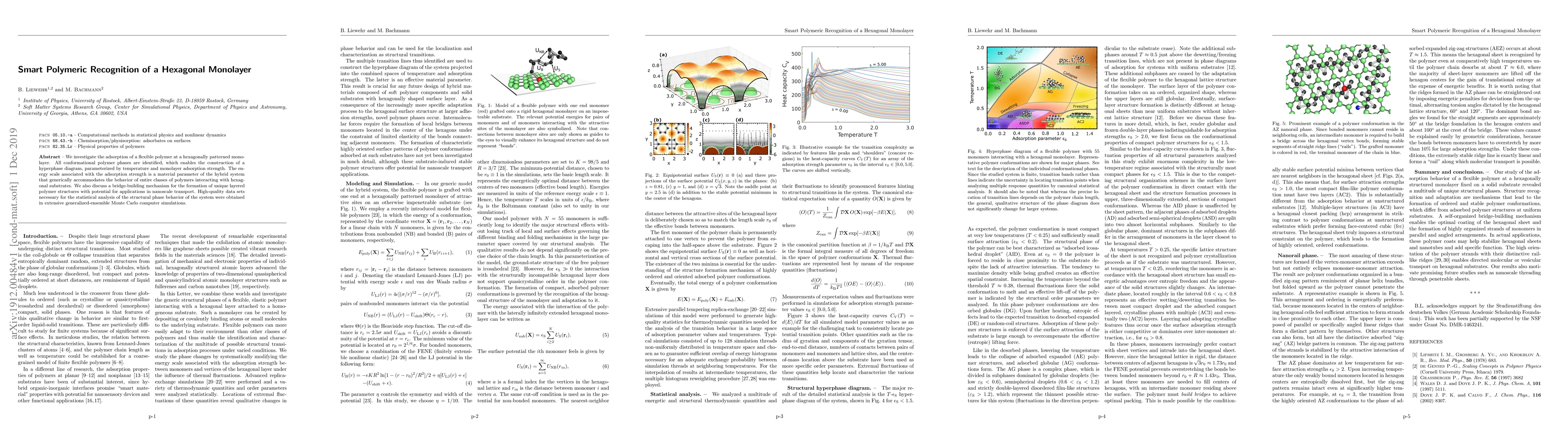 Thumbnail for Smart Polymeric Recognition of a Hexagonal Monolayer