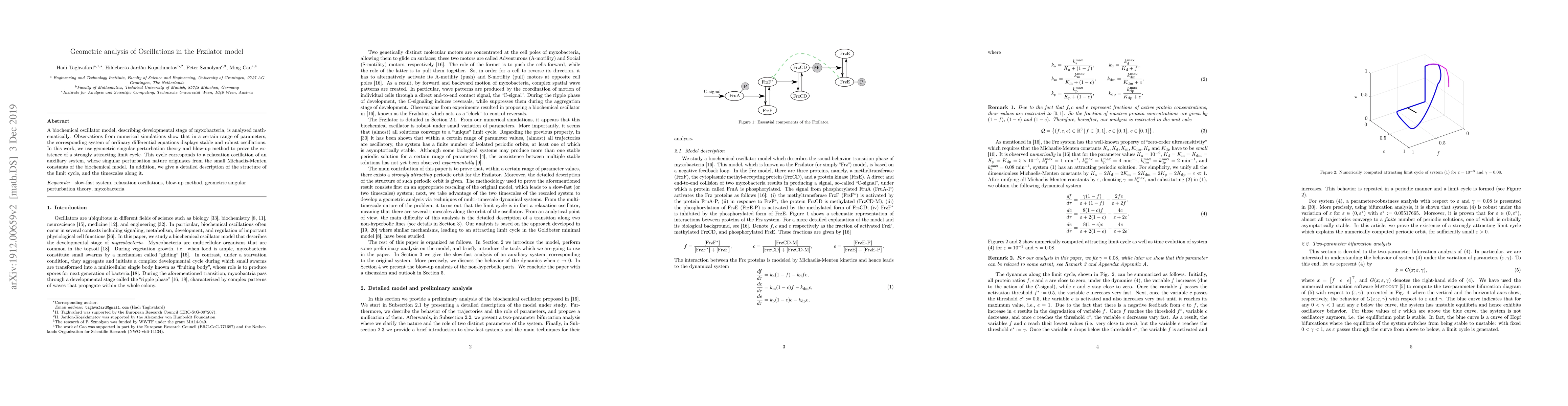 Thumbnail for Geometric analysis of Oscillations in the Frzilator model