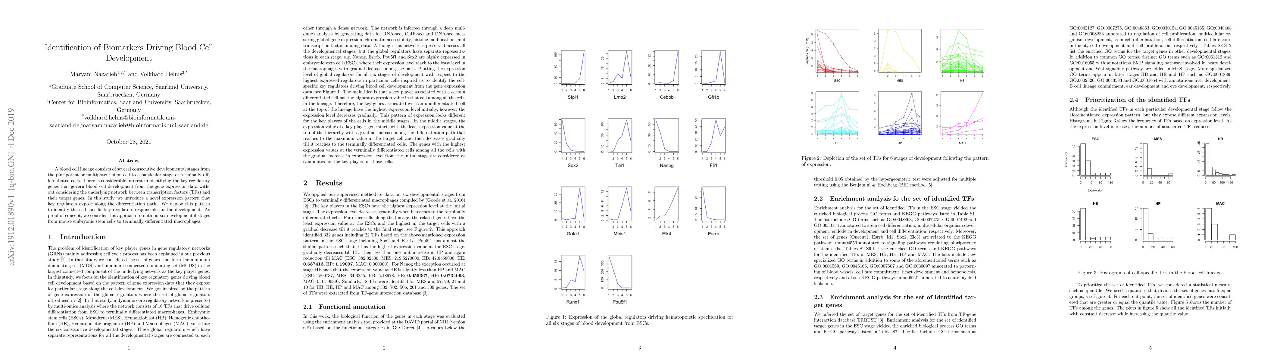 Thumbnail for Identification of Biomarkers Driving Blood Cell Development