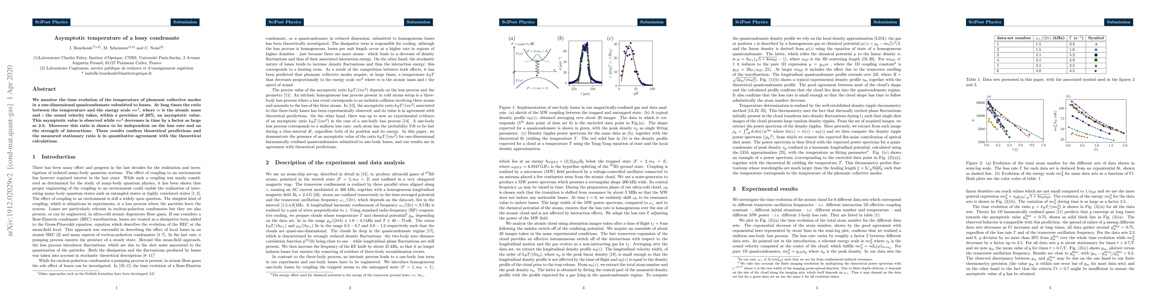 Thumbnail for Asymptotic temperature of a lossy condensate