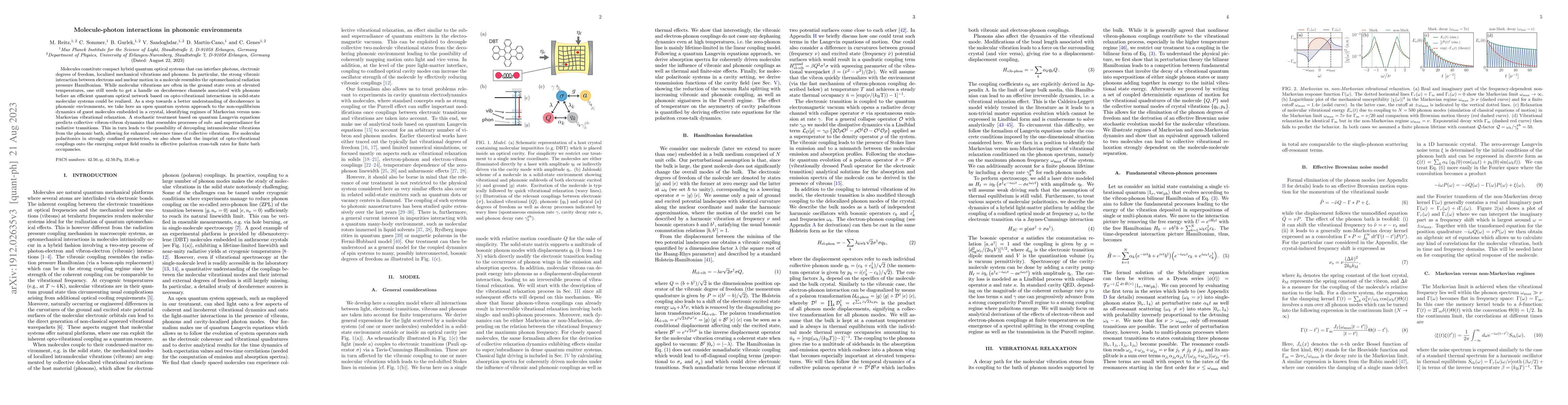 Thumbnail for Molecule-photon interactions in phononic environments