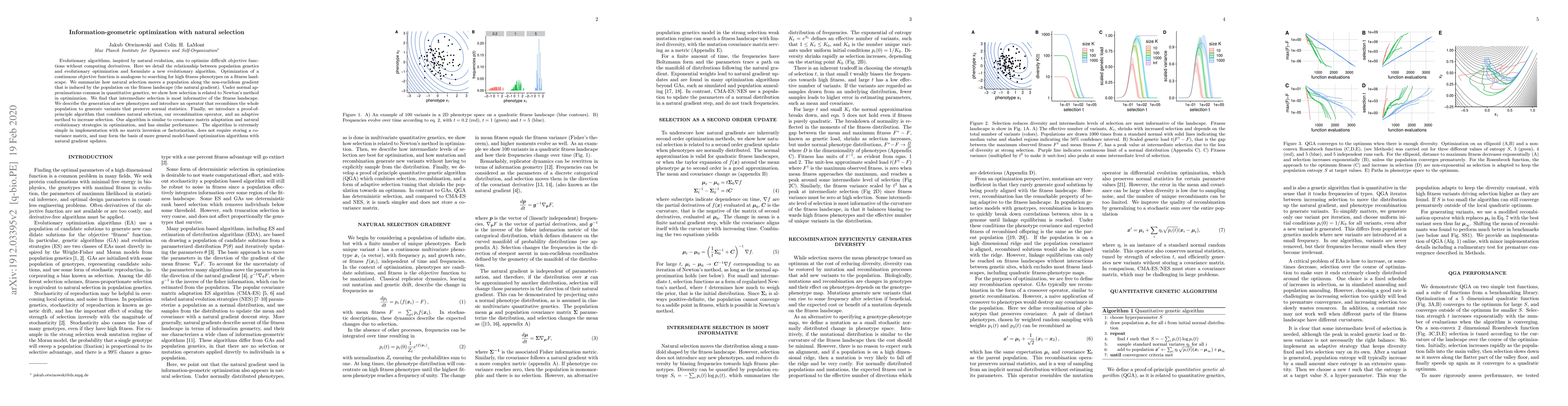 Thumbnail for Information-geometric optimization with natural selection
