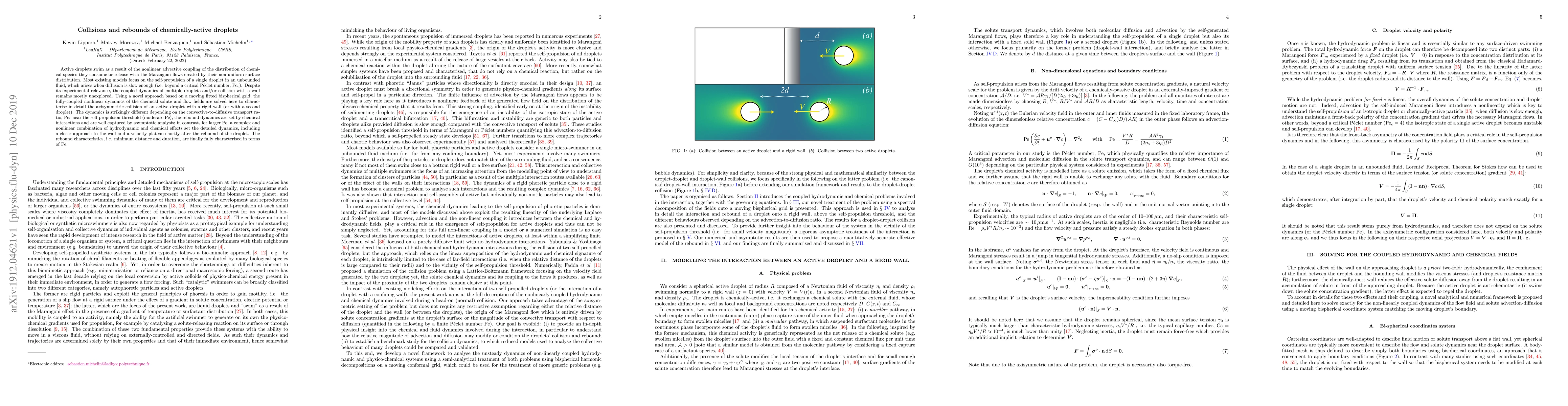 Thumbnail for Collisions and rebounds of chemically-active droplets