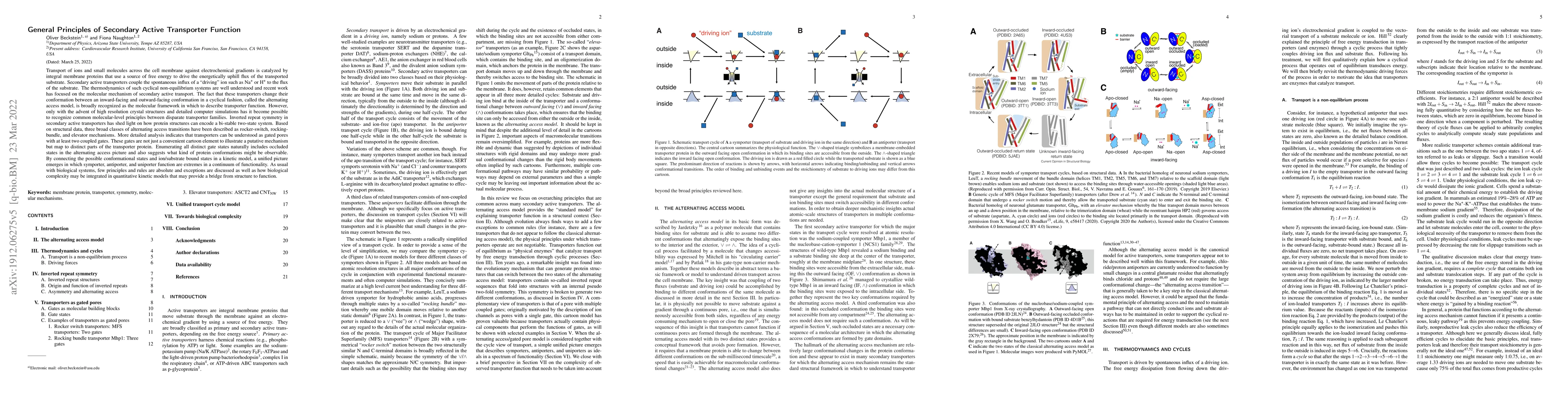 Thumbnail for General Principles of Secondary Active Transporter Function