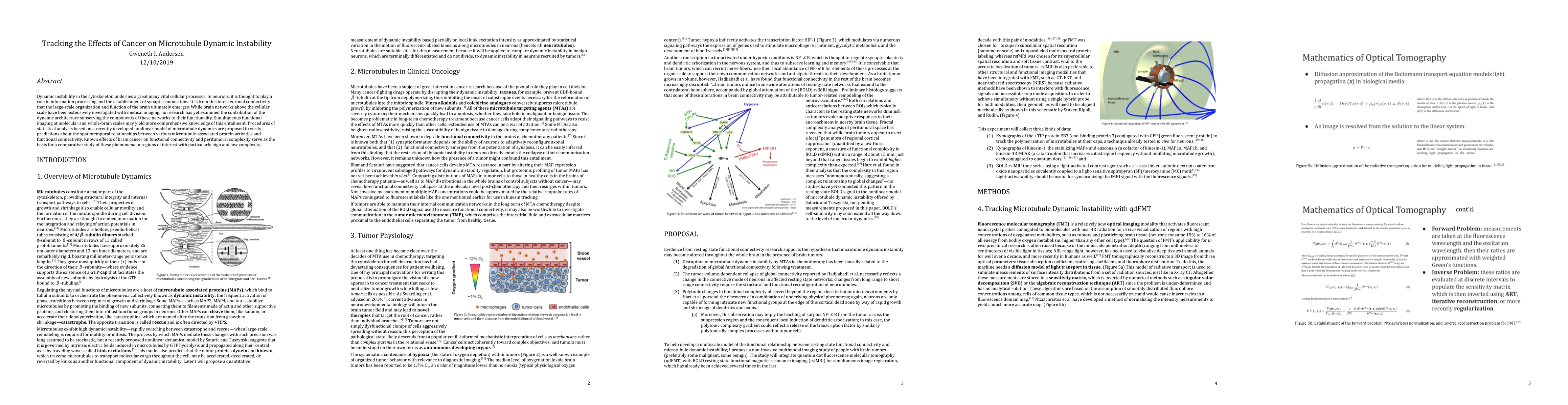Thumbnail for Tracking the Effects of Cancer on Microtubule Dynamic Instability
