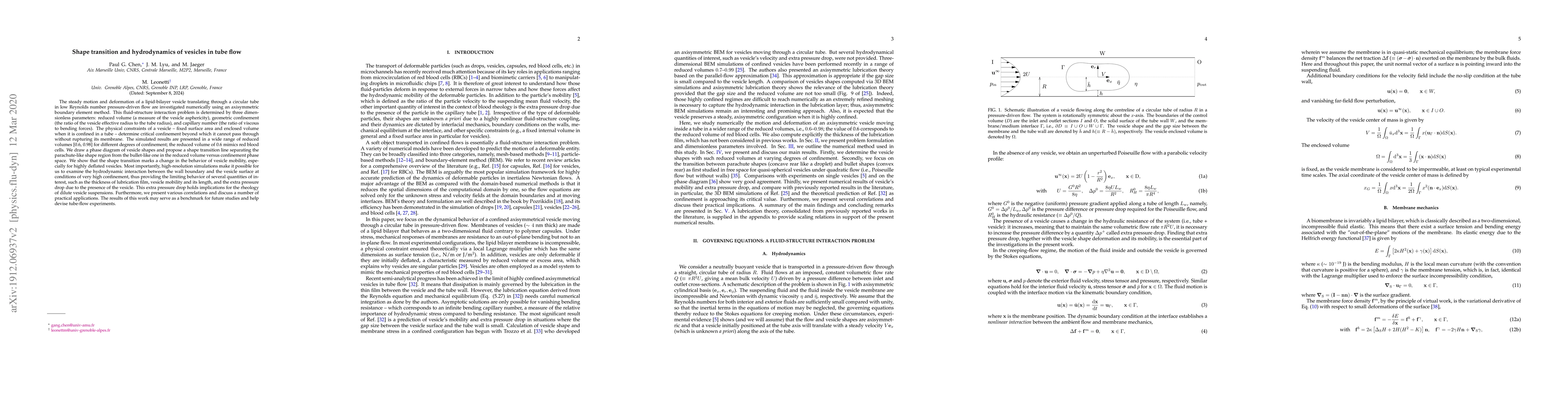 Thumbnail for Shape transition and hydrodynamics of vesicles in tube flow