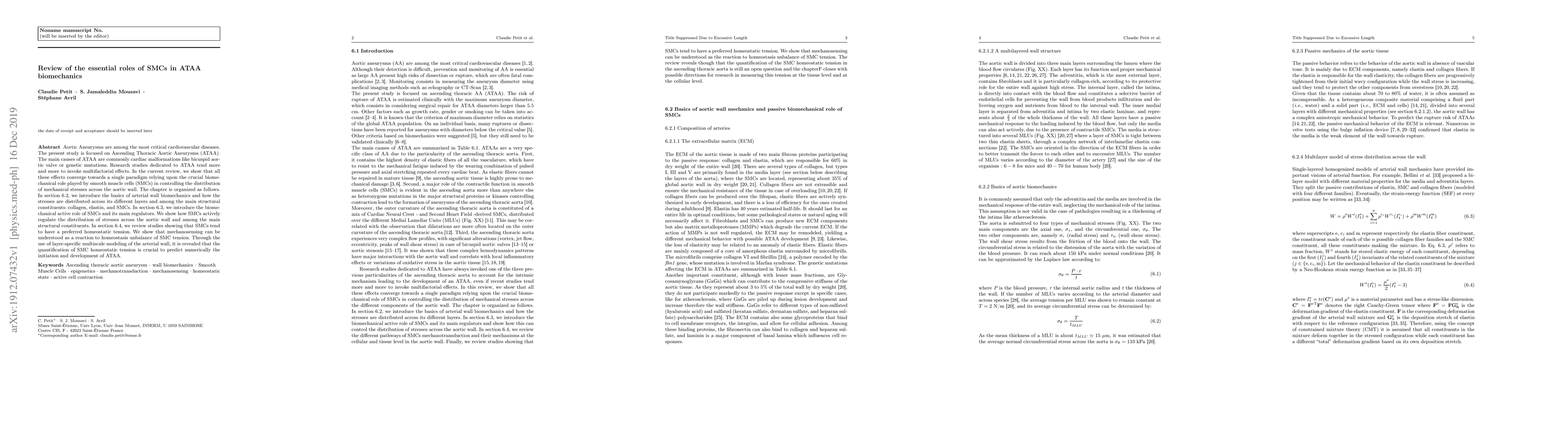 Thumbnail for Review of the Essential Roles of SMCs in ATAA Biomechanics