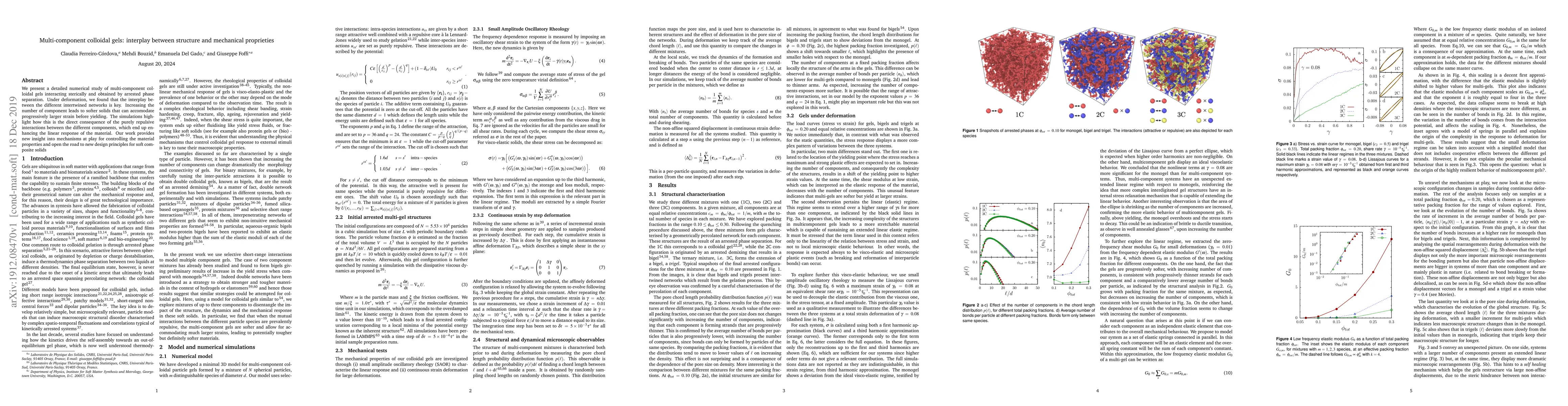 Thumbnail for Multi-component colloidal gels: interplay between structure and
  mechanical proprieties
