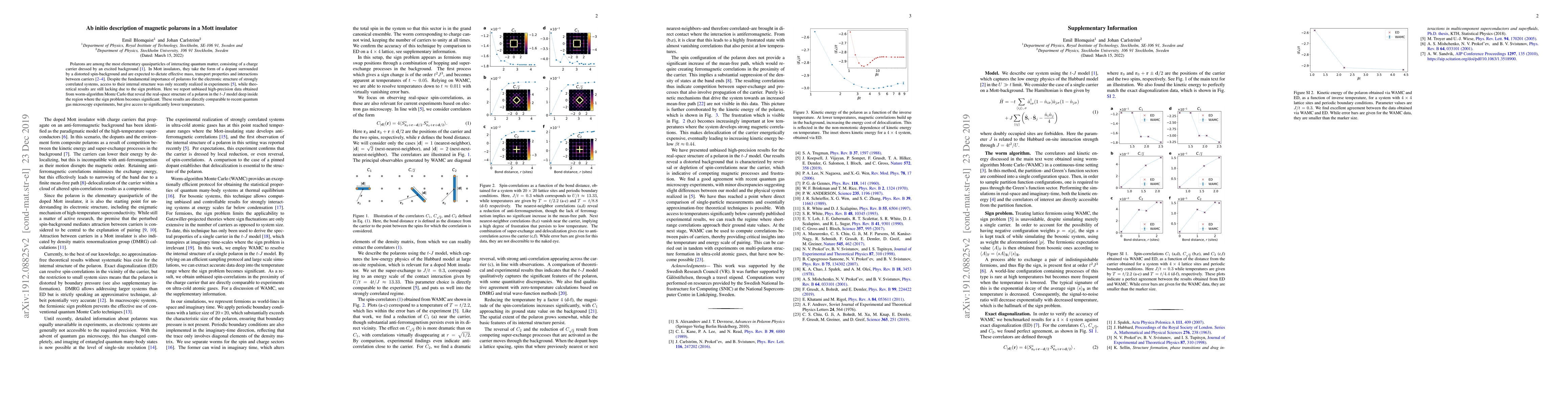 Thumbnail for Ab initio description of magnetic polarons in a Mott insulator