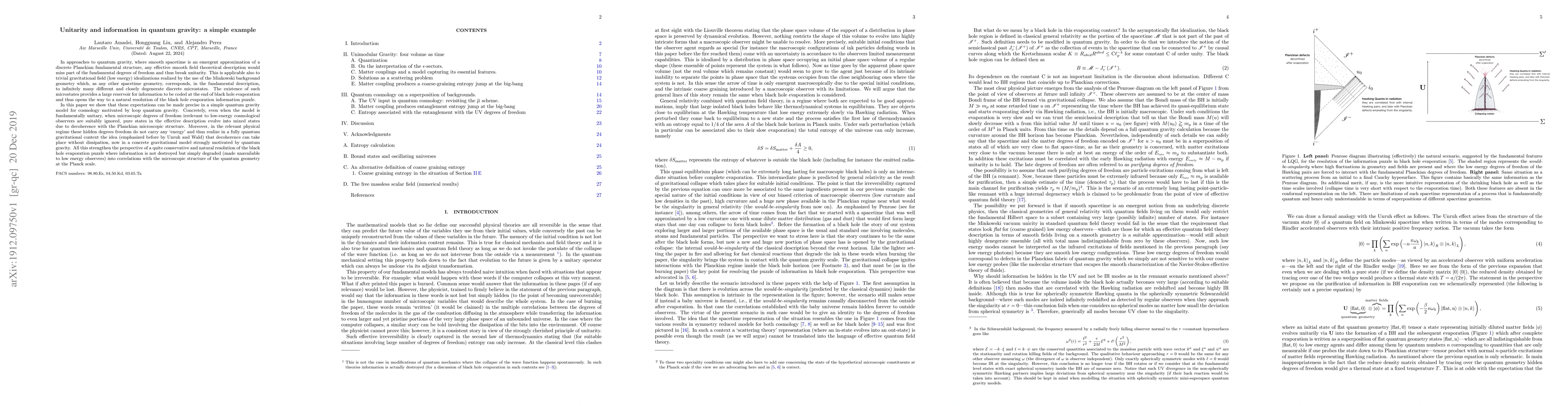 Thumbnail for Unitarity and information in quantum gravity: a simple example